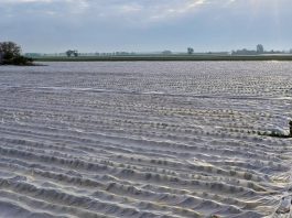 Trwa okres sprzedaży ubezpieczeń. Co warto wiedzieć?