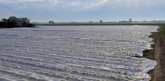 Trwa okres sprzedaży ubezpieczeń. Co warto wiedzieć?