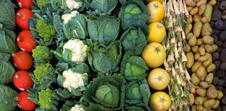 Warzywa i owoce podstawą naszej odporności