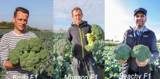 Brokułowe trio na jesień 2020. Co warto posadzić?