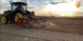 Siewy cebuli 2020, czyli  zaczynamy sezon z ONION LEADER siewy cebuli