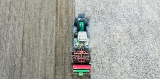 Akademia Poprawy Żyzności Gleby, cz. II – Jak powstaje próchnica