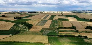 Akademia Poprawy Żyzności Gleby. Cz. I Materia organiczna i próchnica glebowa