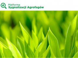 Platforma Sygnalizacji Agrofagów – użyteczne narzędzie nie tylko na czasy pandemii