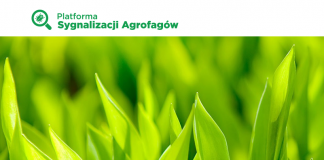 Platforma Sygnalizacji Agrofagów – wsparcie dla doradców i rolników
