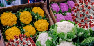 Branża AGRO w świecie „COVID 19”