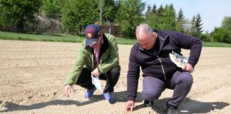 Cebula uprawiana z pasją cz. I Nie ma recepty, są możliwości