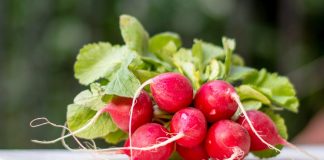 Nowalijki – pokusa, której trudno się oprzeć