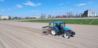 Sadzenie ziemniaków – jak to robią w Żelaznej Sadzenie ziemniaków