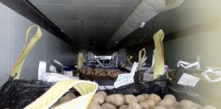 Import ziemniaków z Finlandii Ziemniaki z Finlandii