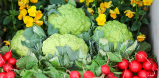 Warzywa i owoce w diecie Polaków