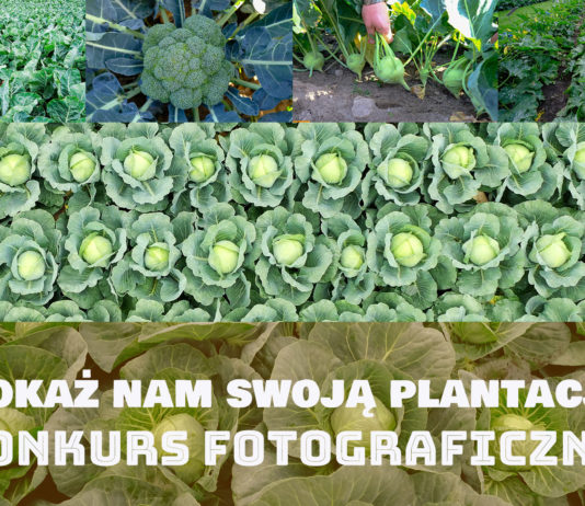 Pokaż nam swoją plantację. Konkurs z nagrodami