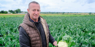 Kalafiory na trudne warunki uprawy –  Zamojszczyzna. FILM