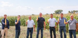 Słodkie i supersłodkie odmiany kukurydzy na polowej prezentacji Syngenta