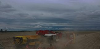 Uprawa ziemniaka – nowość linie kroplujące, choroby i biostymulacja w tym sezonie