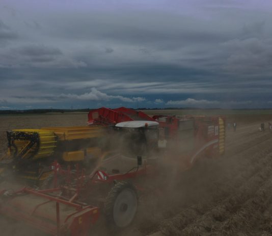 Uprawa ziemniaka – nowość linie kroplujące, choroby i biostymulacja w tym sezonie