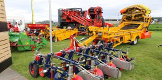 Mechaniczne zwalczanie chwastów w uprawach warzyw