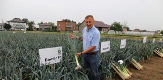 Zmiany na rynku pora