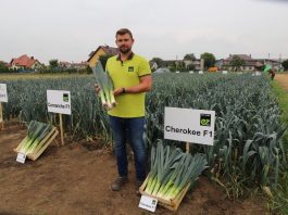 Odmiany pora na różne etapy sezonu Łukasz Bogarczyk Pory Enza Zaden