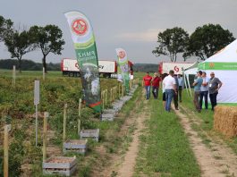 Potato Poland 2020 – odmiany ziemniaka