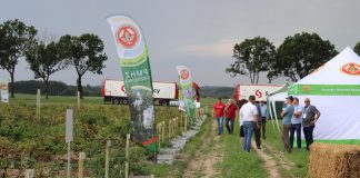 Potato Poland 2020 – odmiany ziemniaka