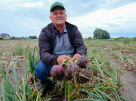 Cebula 2020 – to nie była łatwy sezon dla producentów. FILM