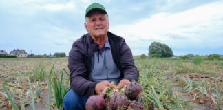 Cebula 2020 – to nie była łatwy sezon dla producentów. FILM