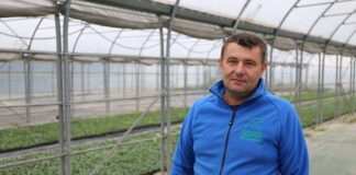 Optymalny start – specjalista w produkcji rozsady warzyw kapustnych zbigniew orzechowski