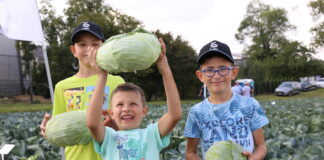 XXVI Charsznickie Dni Kapusty już w ten weekend! dni kapusty 2023 kto wystąpi | warzywapolowe