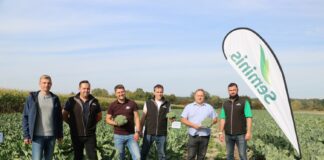 Premiera nowej odmiany kalafiora Specjaliści z firm zaangażowanych w organizację spotkania