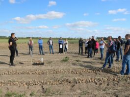 Cebulowe prezentacje w Wielkopolsce Spotkanie cebulowe Seminis w Węgrach