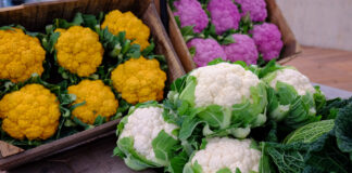 16 październik – Światowy Dzień Owoców i Warzyw