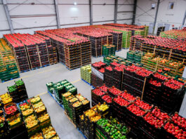 Pomoc na start dla grup producentów – wnioski tylko do końca maja