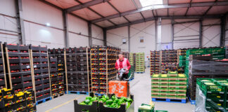 Rekordowy eksport produktów rolno spożywczych w 2020 roku