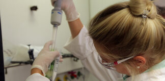 Patogeny nie uznają granic