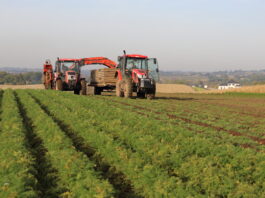 Modernizacja gospodarstw: pięć naborów wniosków w jednym terminie