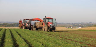 Modernizacja gospodarstw: pięć naborów wniosków w jednym terminie