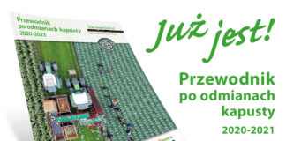 Przewodnik po odmianach kapusty 2020-2021