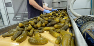 Dotacje na małe przetwórstwo i RHD