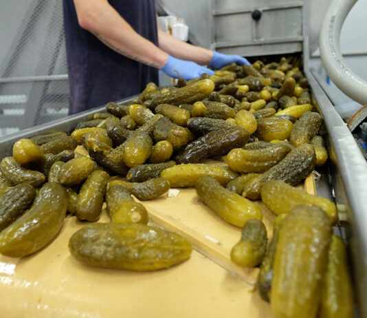 Do 10 mln zł dotacji na rozwój przetwórstwa i obrotu produktami rolnymi. Rusza kluczowy nabór wniosków