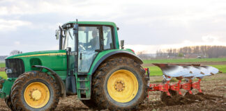 Warzywnicze podsumowanie tygodnia: 2-6 grudnia