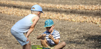 Zasiłek opiekuńczy dla ubezpieczonych w KRUS