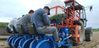 Trichoderma i nicienie w uprawie warzyw – dlaczego warto je stosować?