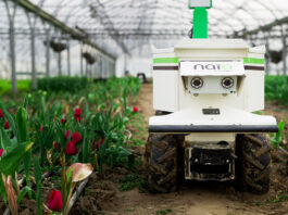 Roboty do odchwaszczania plantacji