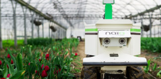 Roboty do odchwaszczania plantacji