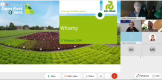 Podsumowanie nowości na dniach otwartych Rijk Zwaan. Cz. I