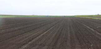 Fosfor w glebie. Jak wykorzystać zasoby, które już są? cz. II gleba