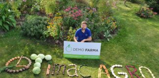 Wyzwania w żywieniu warzyw w 2020 roku