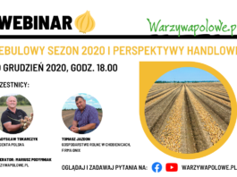 Cebulowy sezon 2020 i perspektywy handlowe