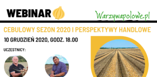 Cebulowy sezon 2020 i perspektywy handlowe